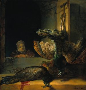 Dead Peacocks by Rembrandt Van Rijn Oil Painting Reproduction