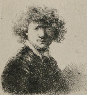 Rembrandt with Bushy Hair and a Small White Collar by Rembrandt Van Rijn Oil Painting Reproduction