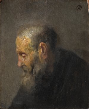 Study of an Old Man in Profile by Rembrandt Van Rijn Oil Painting Reproduction